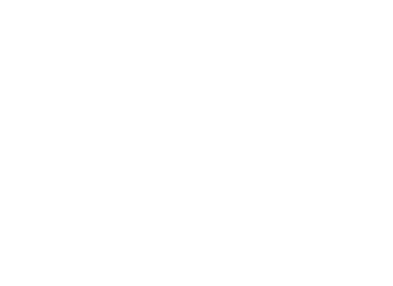 Official Selection — Northwest of NYC Film Festival 2020
