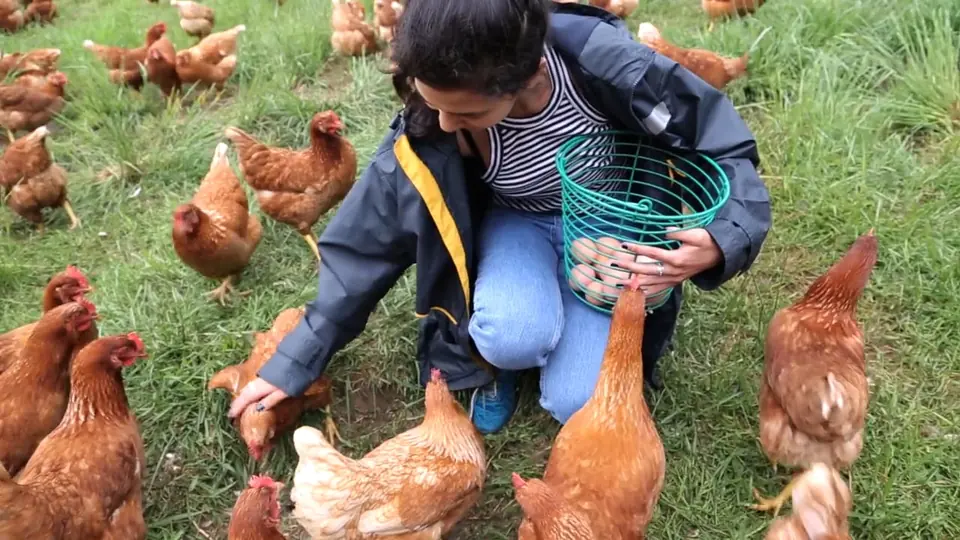 Still from Mobile Kitchen Classroom for Stone Barns Center for Food & Agriculture