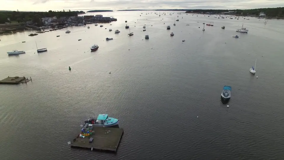 Still from Fundraising Film for Gulf of Maine Research Institute