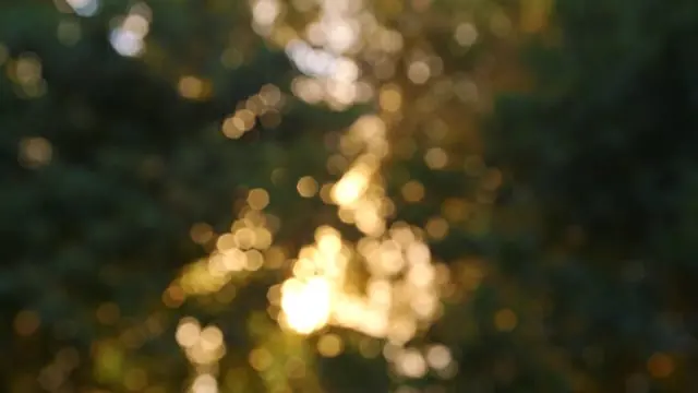 Still from Member Promo for 1% for the Planet