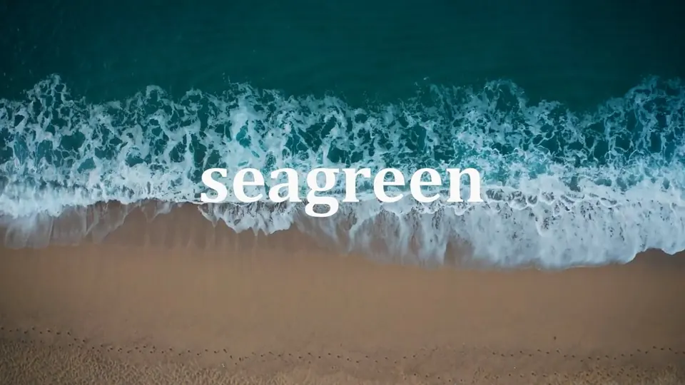 Still from Regenerative Daily Nutrition for Seagreen